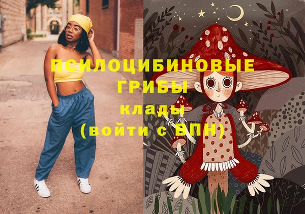 крисы Алзамай