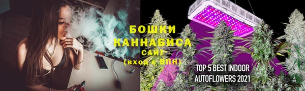 PSILOCYBIN Абдулино