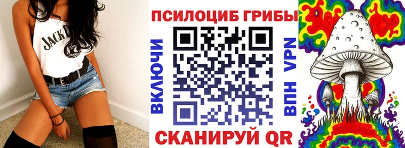Псилоцибиновые грибы GOLDEN TEACHER  как найти закладки  omg зеркало  Котлас 